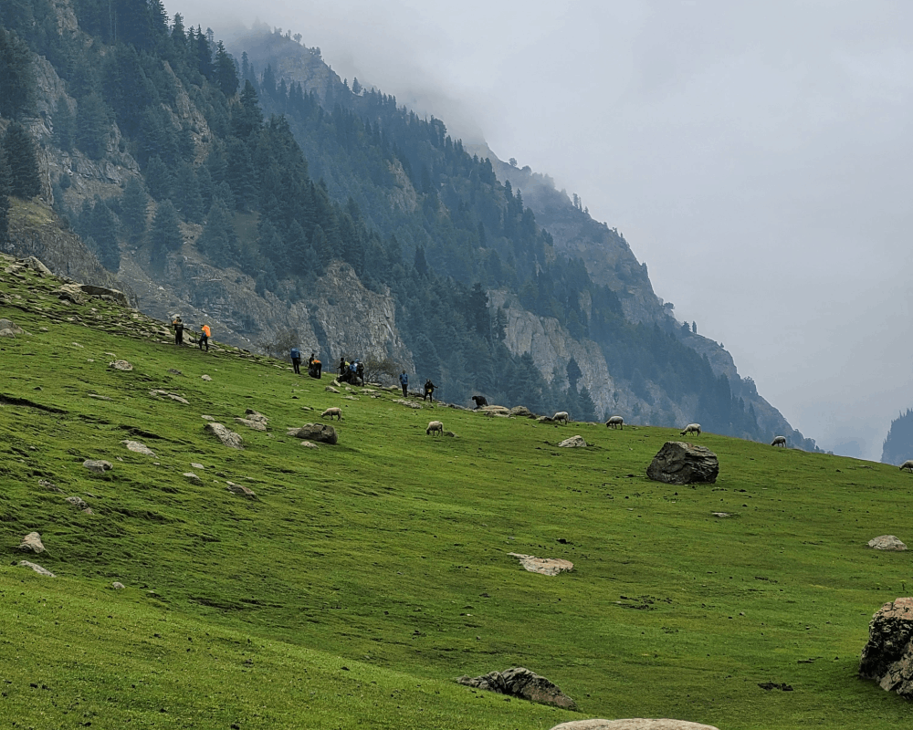 Hiking in Kashmir mountains